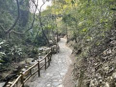 -南丹山森林王国