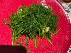 -茉里乐章(花园店)