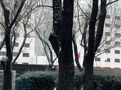 -浩海火烧云傣家菜(京广店)