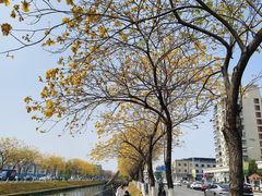 -万江图书馆