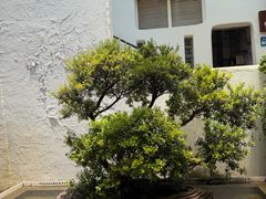 -怡得饭庄·30年老店·宋大妈昆明菜