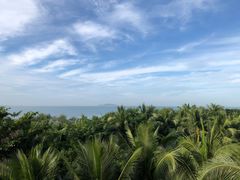 -三亚湾海居铂尔曼度假酒店