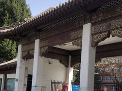 -团结湖公园