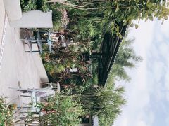 -天然居(伦教店)