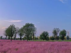 -汉长安城未央宫国家考古遗址公园