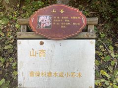 -灵溪风景区