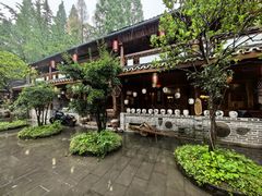 -青城甲(青城山店)