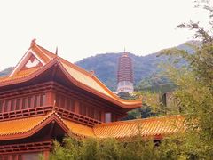 -深圳仙湖植物园