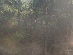 -虞山城墙