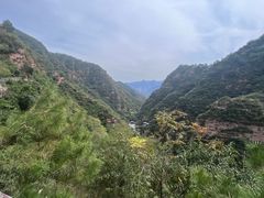 -爱情山风景区