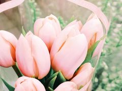 -循礼门鲜花花市(武汉循礼门店)