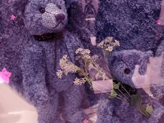 泰迪熊博物馆-济州岛泰迪熊博物馆