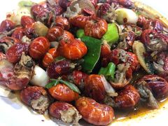 -夜小红炒虾尾(东大街店)