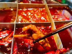 -卤校长老火锅(杨家坪直营店)