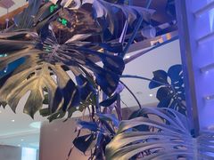-桂满陇·杭州小馆(朝阳合生汇店)