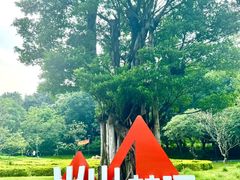 -王借岗森林公园