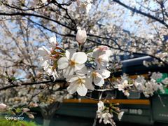 -新天地活力PARK