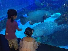 -成都浩海立方海洋公园