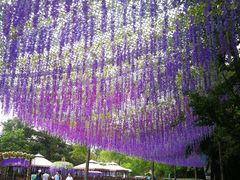 上海欢乐谷-上海欢乐谷