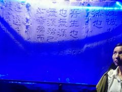 -上海外滩英迪格酒店