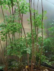 -好友缘酒家·宴会厅(西大店)