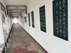 -桃花堤公园