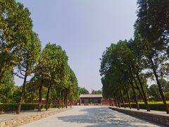 -永乐宫