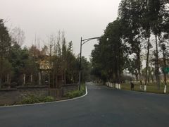 -夏河溪乡野公园