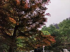 -岳麓山风景名胜区