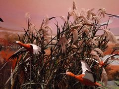 -中国湿地博物馆