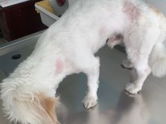 -畜牧兽医站(共江路店)