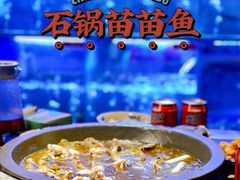 -石锅苗苗鱼(武汉首店)