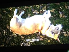 -保利国际影城(中环店)