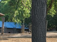 -石家庄市动物园