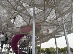 -春花秋色城市公园