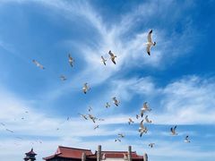 -八仙过海景区