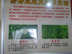 -黔府豆米火锅野菜馆(南马店)