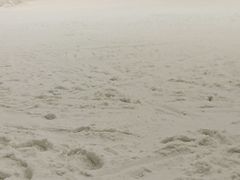 -绍兴启迪乔波冰雪世界