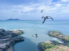 -摩天岭风景区