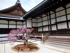 -京都御所