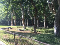 景点-习家池