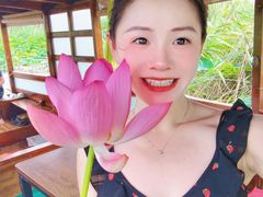 -白洋淀景区