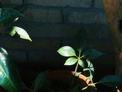 -春庄咖啡SpringHues(钟楼小区店)