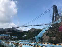 -西霞口神雕山野生动物世界