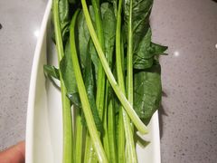 -海底捞火锅(金光华店)