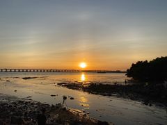 -宝安西湾红树林湿地公园