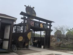 -上海长兴岛郊野公园