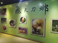 -上海昆虫博物馆