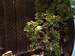 -见康道莱•足浴按摩•艾灸•SPA(友谊店)