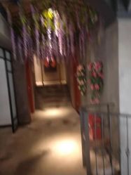 -Cocodemer 产后恢复中心(多伦路店)